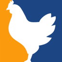 ChickenGG logo