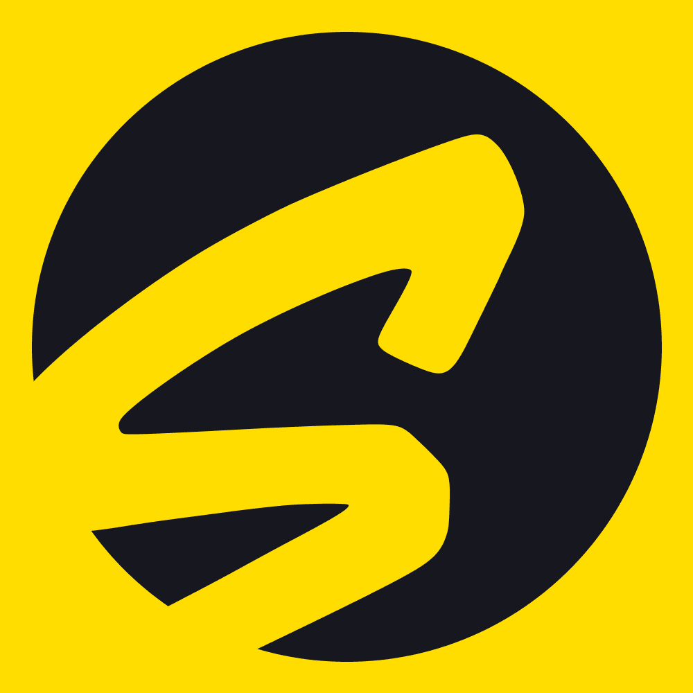 SKINFANS logo